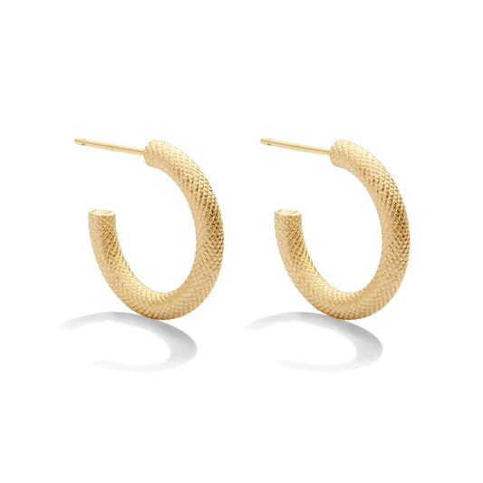 Splendid Iris Textured Hoops