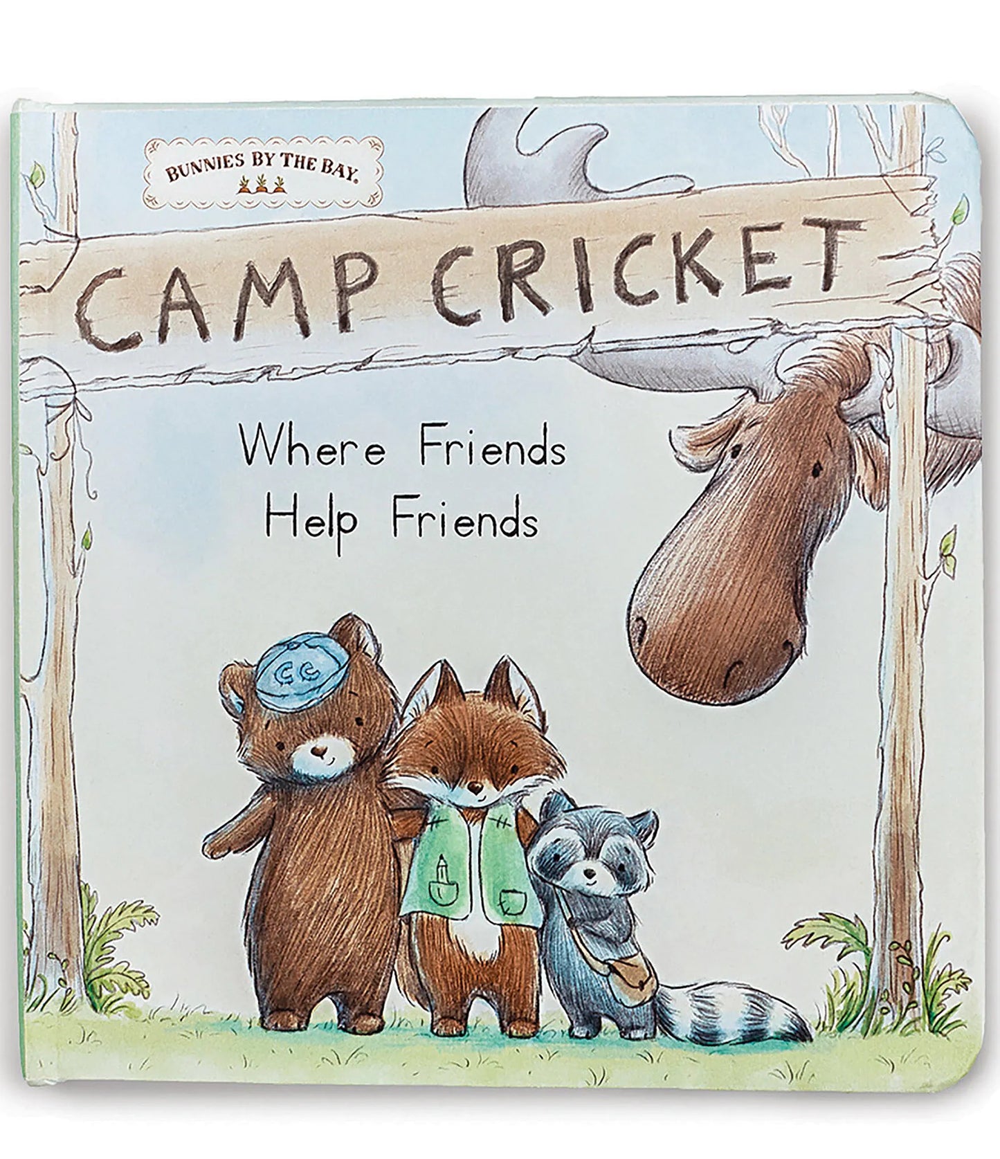 Camp Cricket Board Book