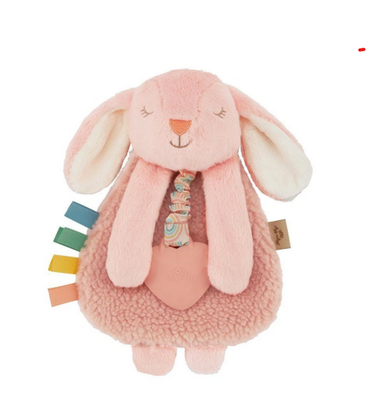 Bunny Plush and Teether Toy